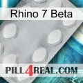 Rhino 7 Beta 16